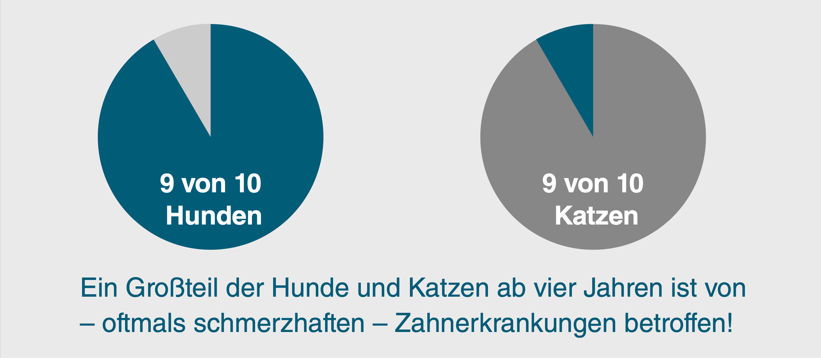 Zahnerkrankungen bei Hunden und Katzen