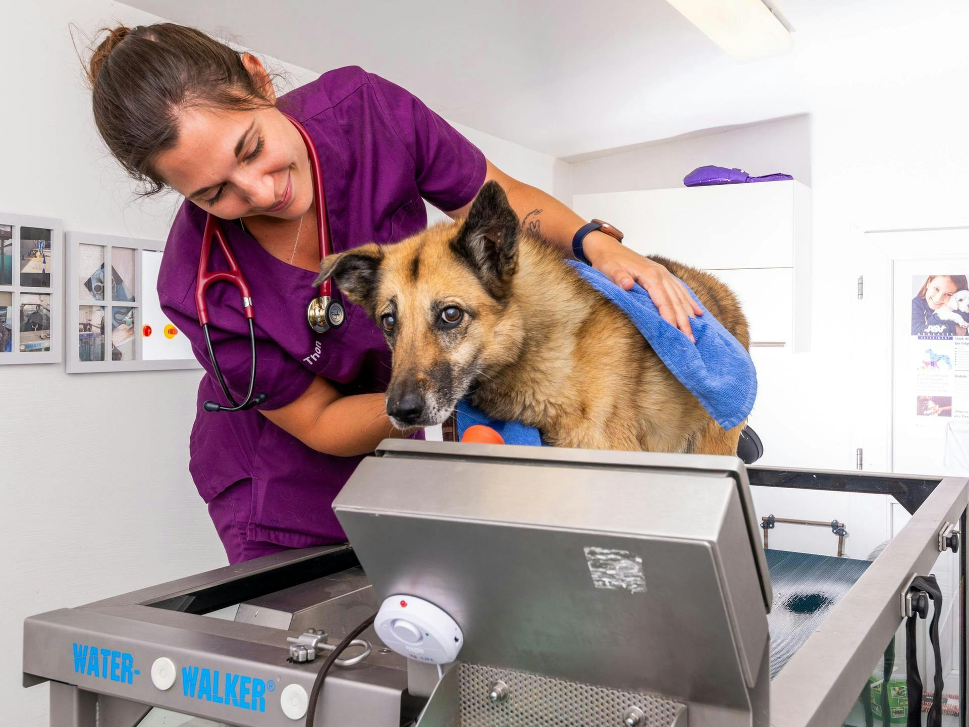 Unterwasserlaufband Tierklinik Parndorf